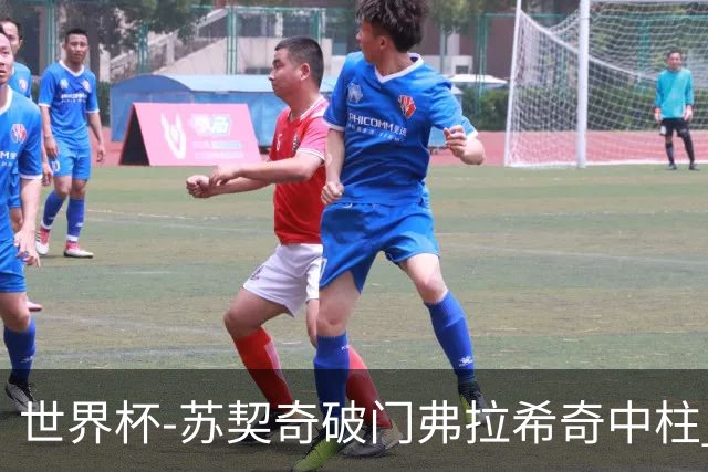 世界杯-苏契奇破门弗拉希奇中柱 克罗地亚半场1-0加纳